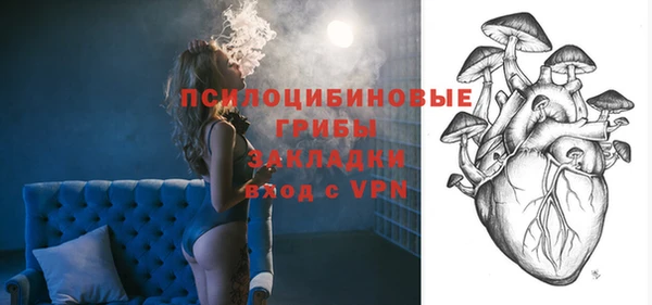 марки lsd Бородино